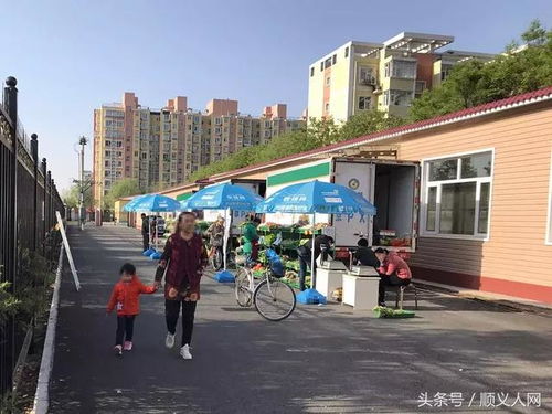 顺义再添便民大集，新鲜蔬菜直供居民餐桌