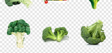 绿色有机 从西兰花到新鲜水果的自然馈赠