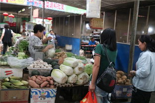 夜色与晨光之间 神木菜贩子的十六小时生存纪实