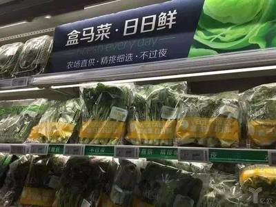 新农业+新零售 从销售端拉动农业现代化发展