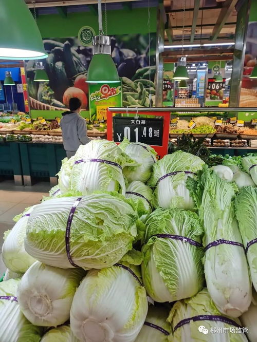 城区部分超市肉菜零售价格公示（2月19日新鲜蔬菜零售）